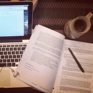 Thinking About Taking a State Court Interpreter Exam? Here are my Top Recommendations