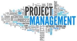 An insight into the Translation Project Manager role
