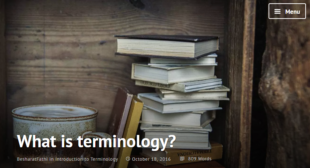 What is terminology?